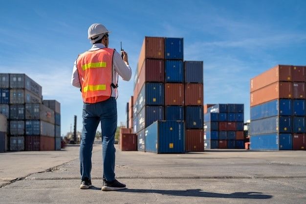 egypt customs import compliance guide