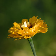 DSC 0287