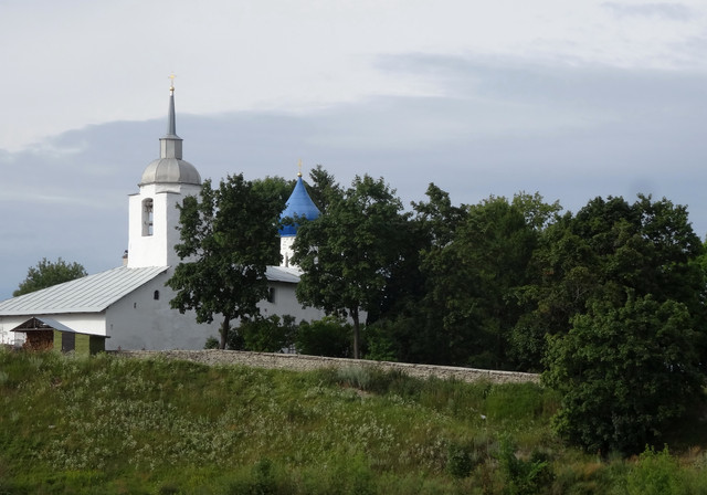 DSC06401-5.jpg