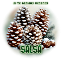 xcd-tw-tk1-avi-Salsa-christy.png