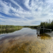 IMG-6525