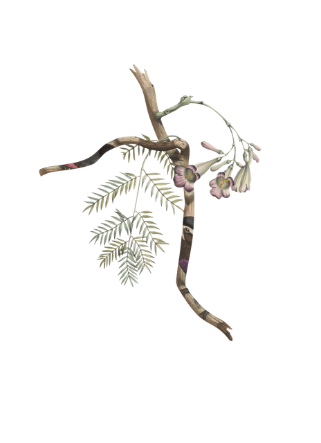 c4b516ab9febb6be33c7c109f22ef4a1.png