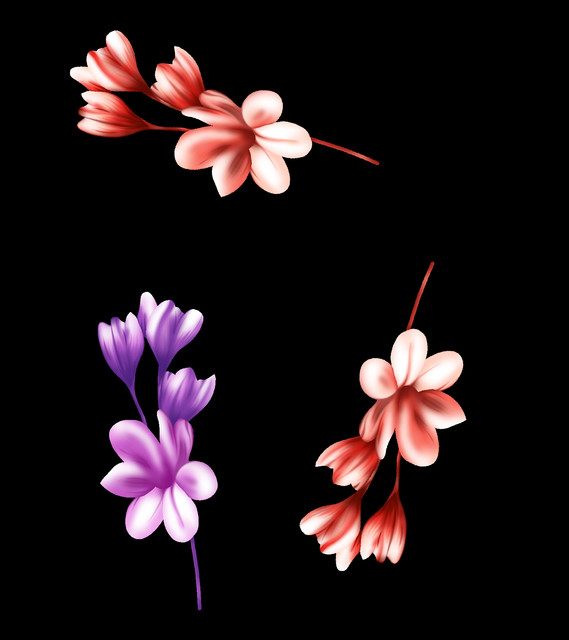 412454151.jpg