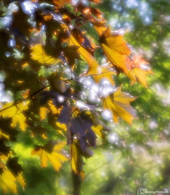 001A3838.jpg
