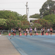 IMG-0066