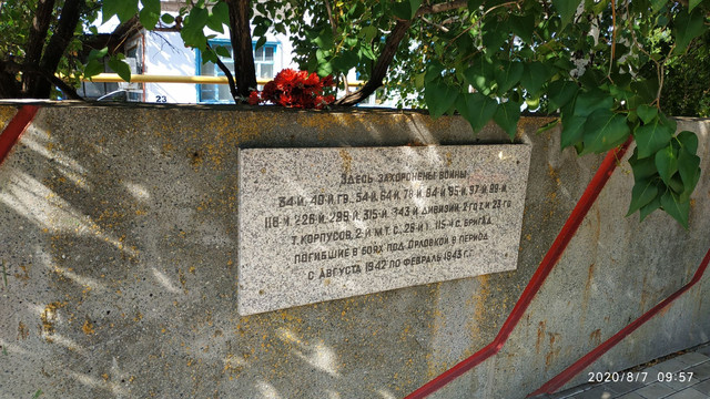 https://i.ibb.co/KcgJGKNz/image.jpg