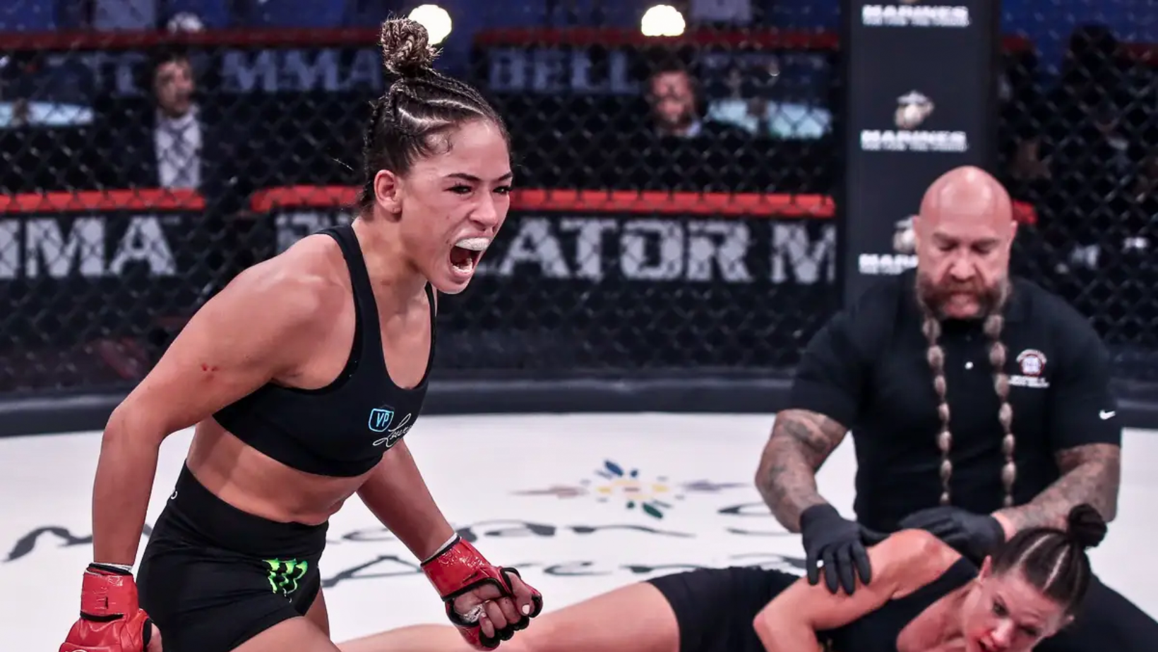 Pasaron por las Artes Marciales Mixtas