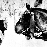 IMG-3229
