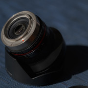 FXT32083 Large