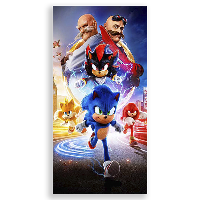 31001574-Sonic