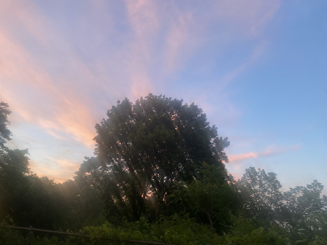 IMG 0442.jpg
