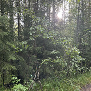 IMG 4807