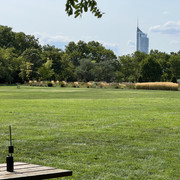 IMG-9083