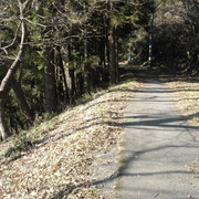 2012-01-09-090