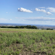 IMG-2526