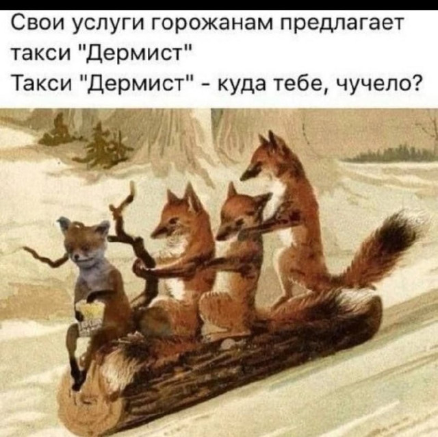20939724.jpg