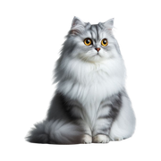 SKGE3
