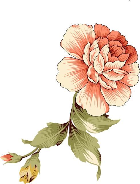 438e5c236454169666395ecd9c5893f2.png