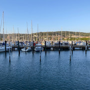 IMG-2537