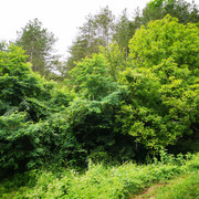 IMG-20220710-175923