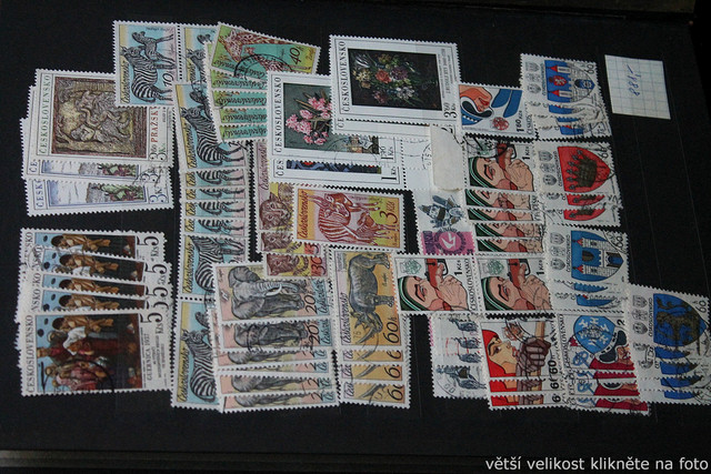 IMG-6892.jpg