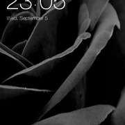 BLACK ROSES