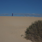 DSCF8530