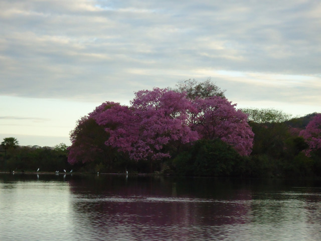 DSC00109