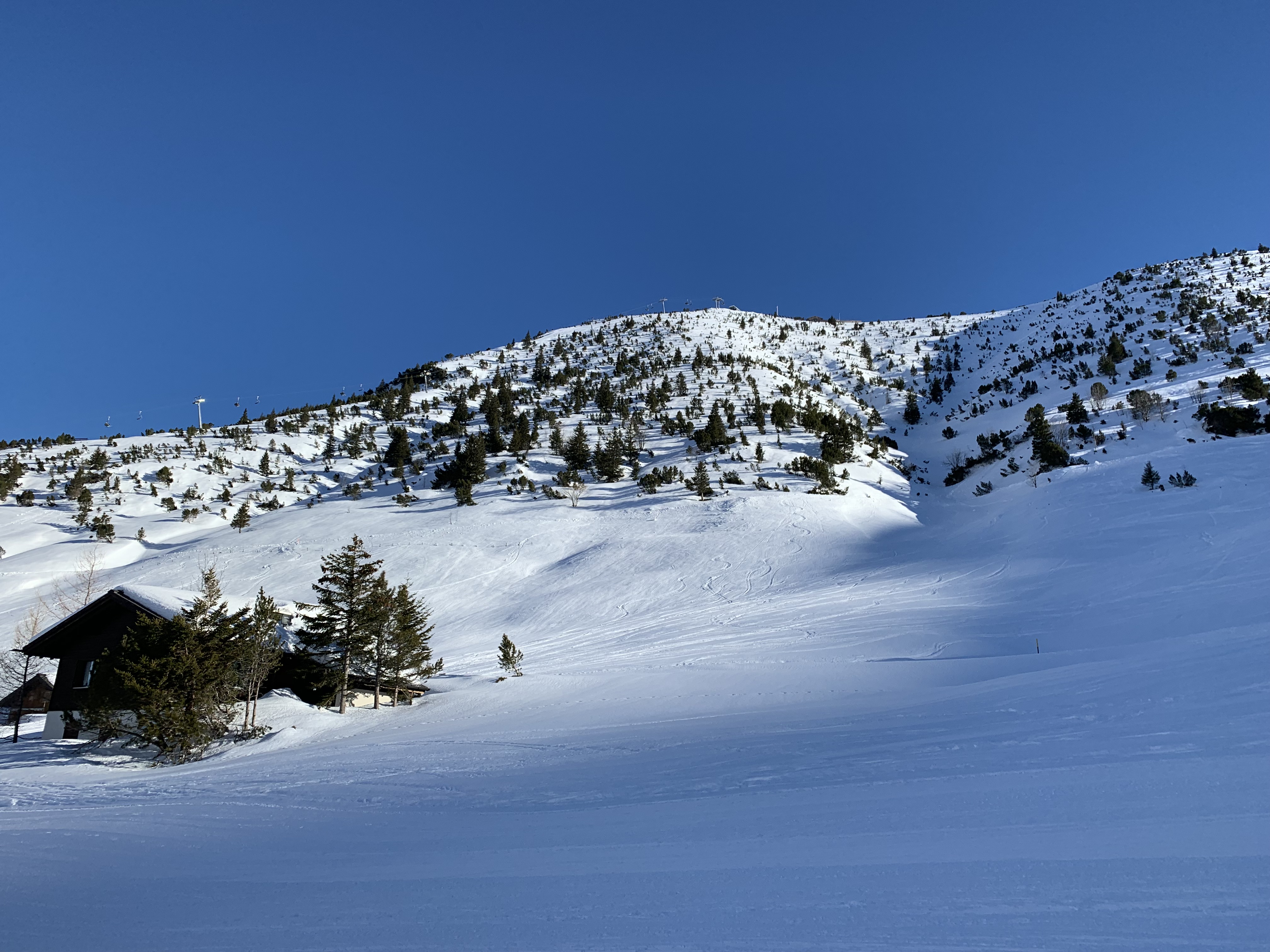 IMG-1087.jpg