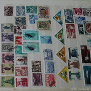 IMG-6964