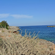 DSC-6022
