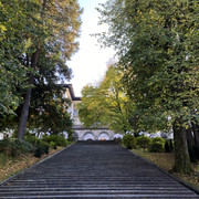IMG-3004
