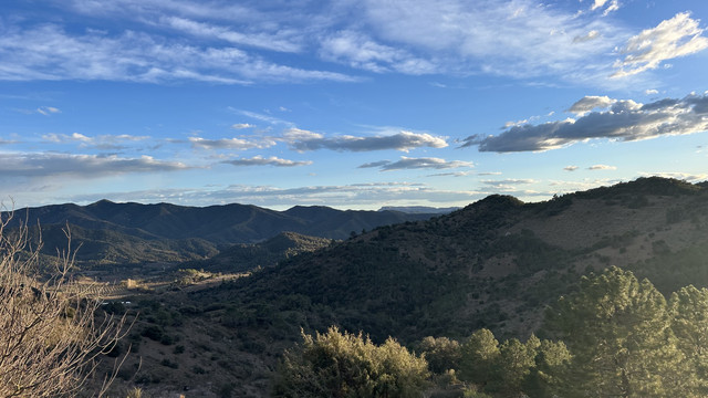 Terrasses de vignes