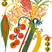 ce381dca3f0fbfd1d9401136bfc2ed5e