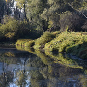 DSC 0976