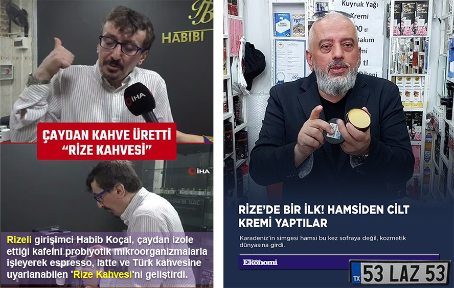 hamsi.jpg