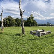 IMG-8723