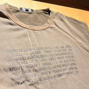 IMG 4554