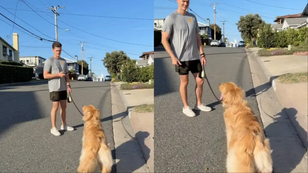 Dog Proves Loyalty to Owner in Viral Test