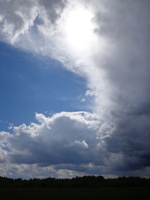 DSC00615.jpg