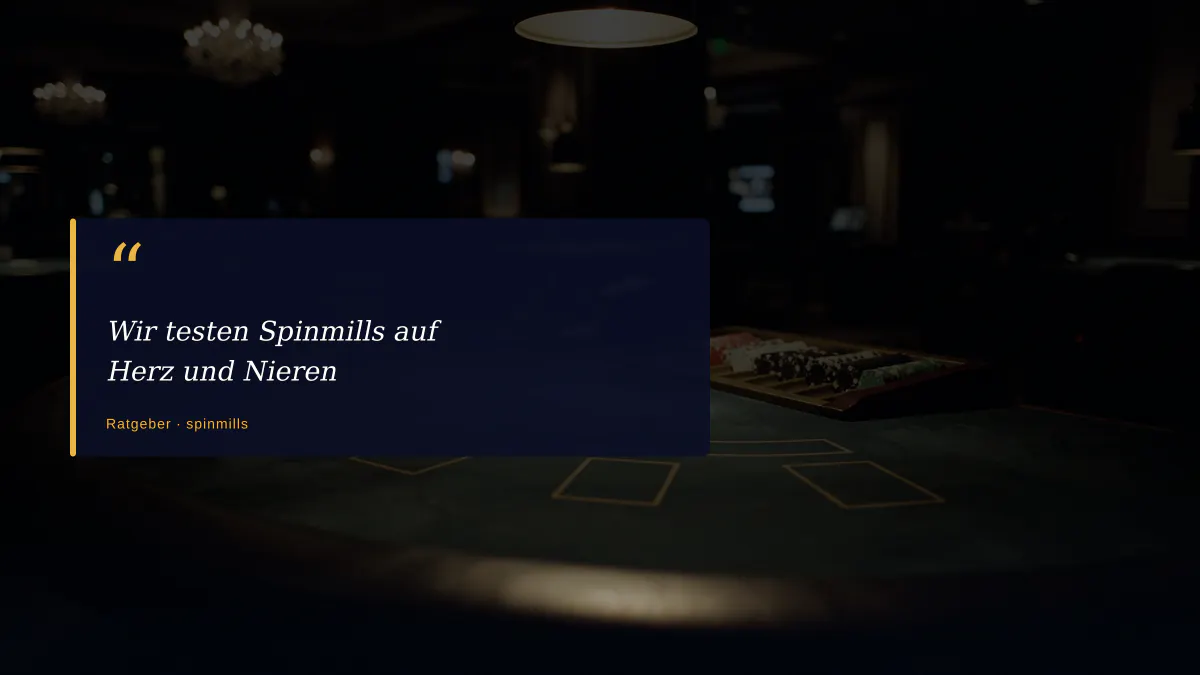 Wir testen Spinmills auf Herz und Nieren