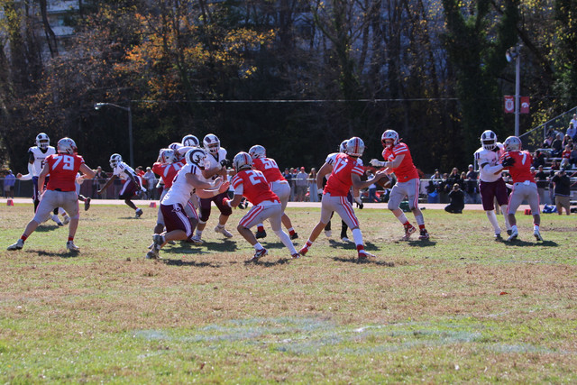 IMG-1150.jpg