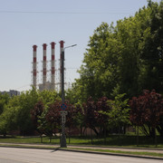 DSC3908