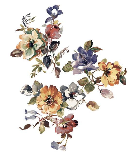 nohat-bg-removed-65b4dff8.png
