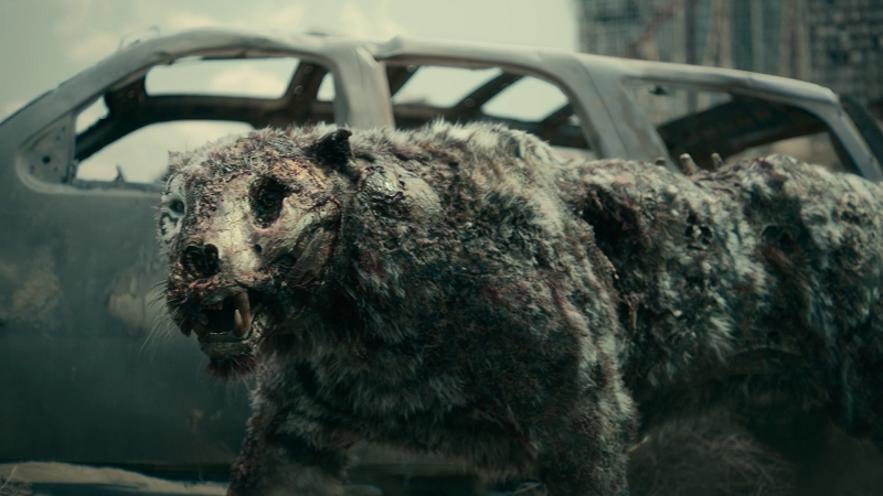 Cr-XCdd0-KRGo-KW7k-1750887214