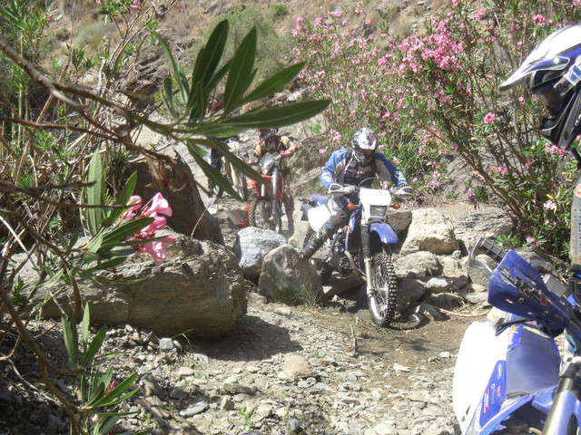 DSCF4315.jpg