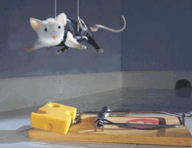 a72.gif