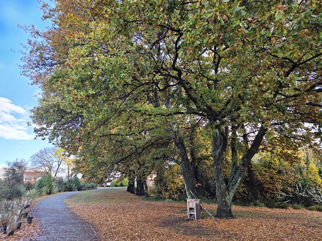 94.jpg