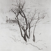 Дерево в поле 1897