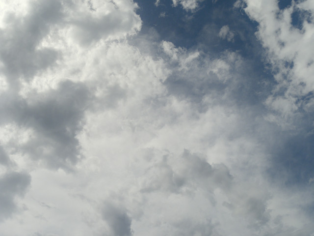IMGP0754